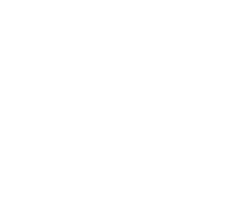Branding Icon
